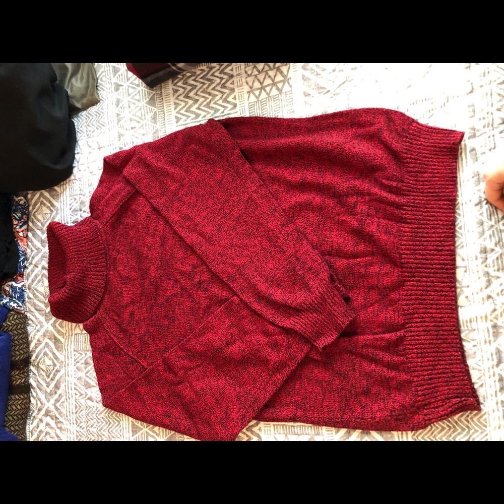 Karen Scott turtle neck